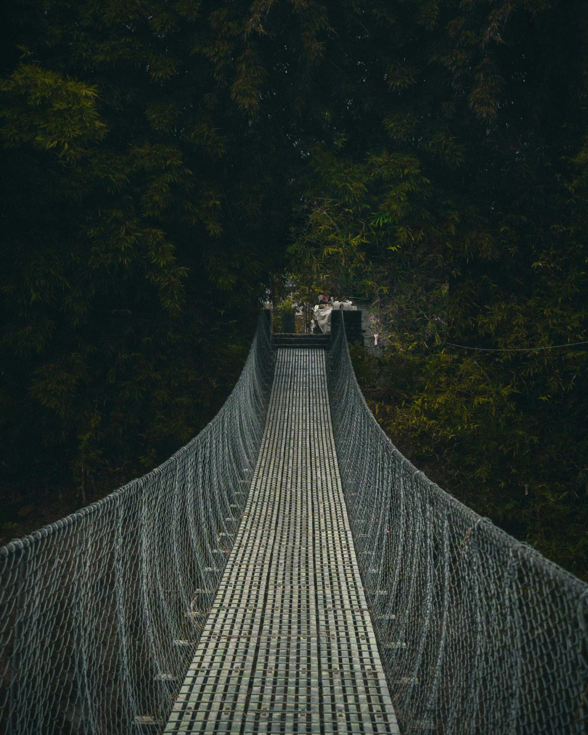 pexels-janamthapa-6053688