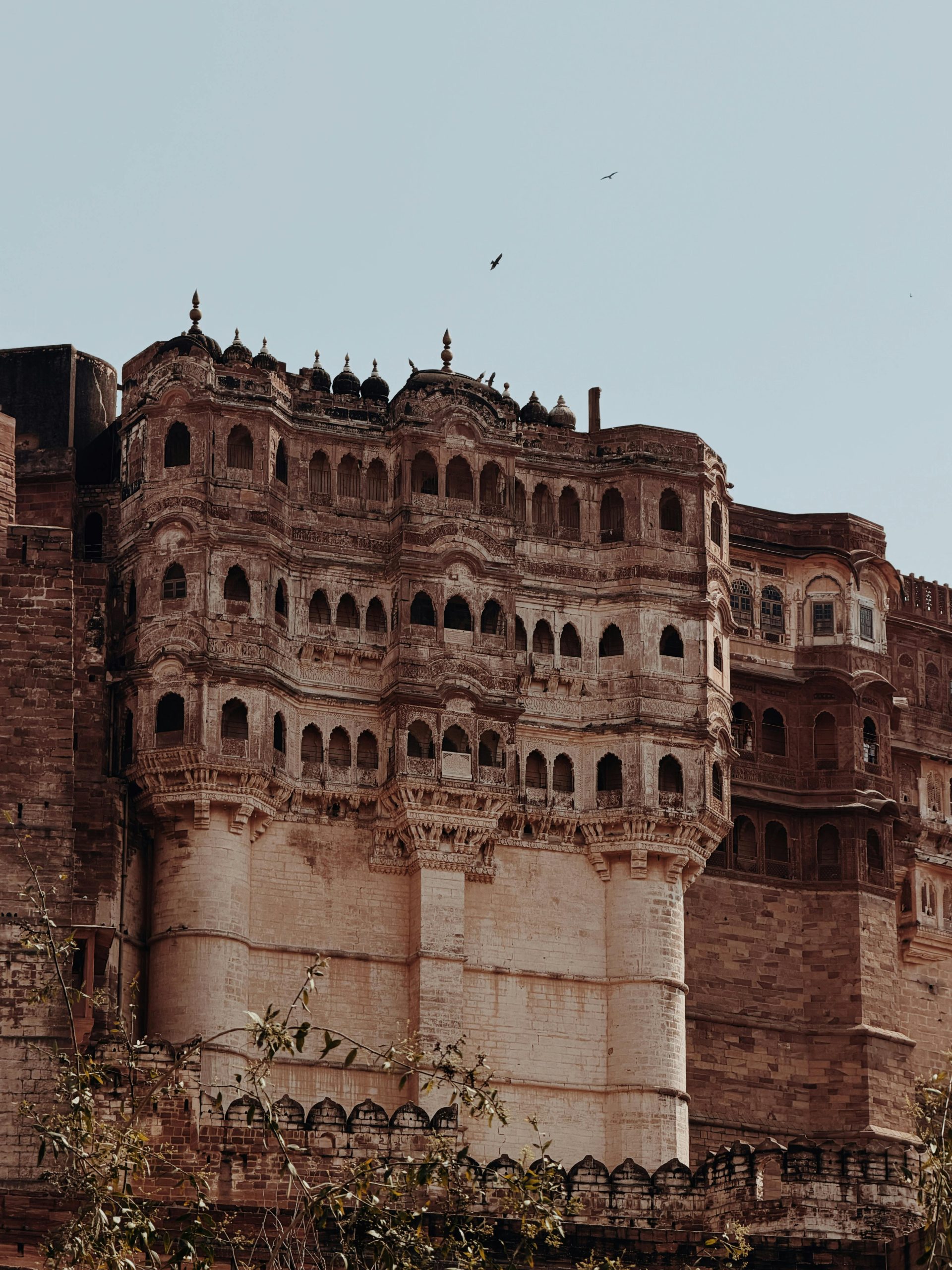 pexels-manishjangid-36470406