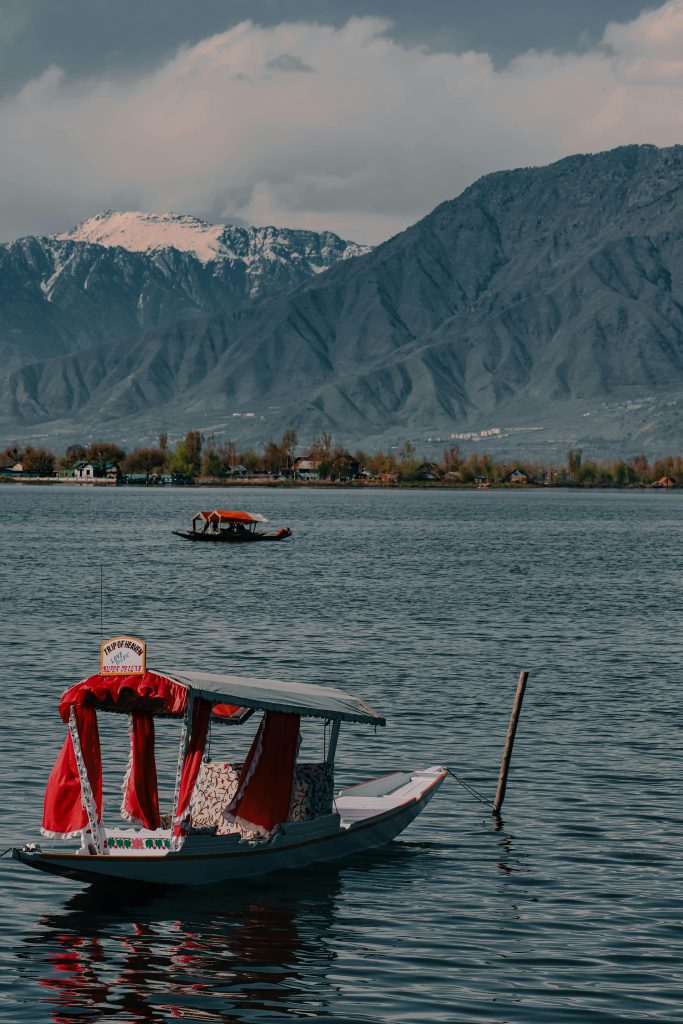 pexels qaarif 7390428