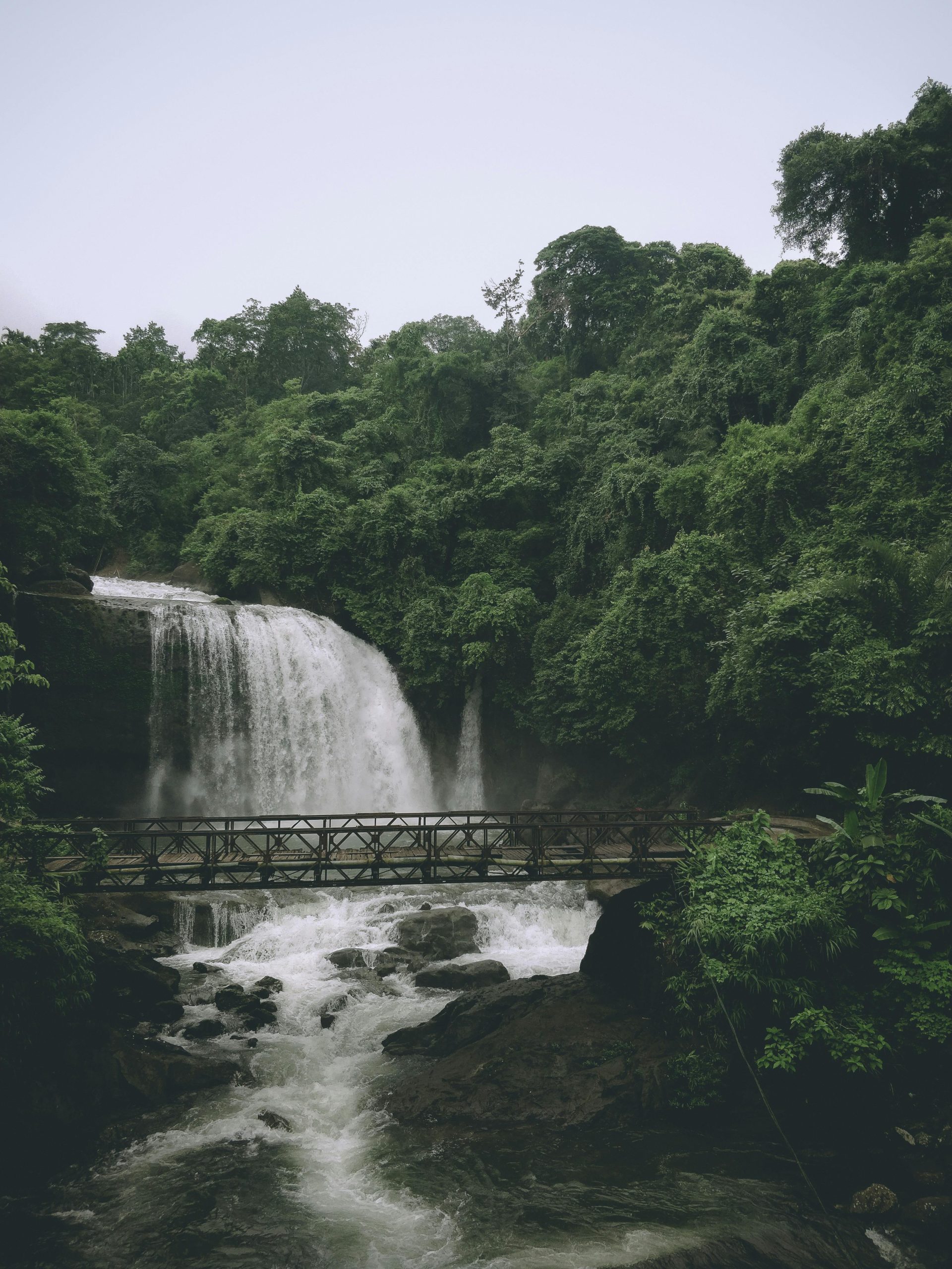 pexels-sharadbhat-3974275